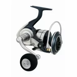 Daiwa 21 Certate SW