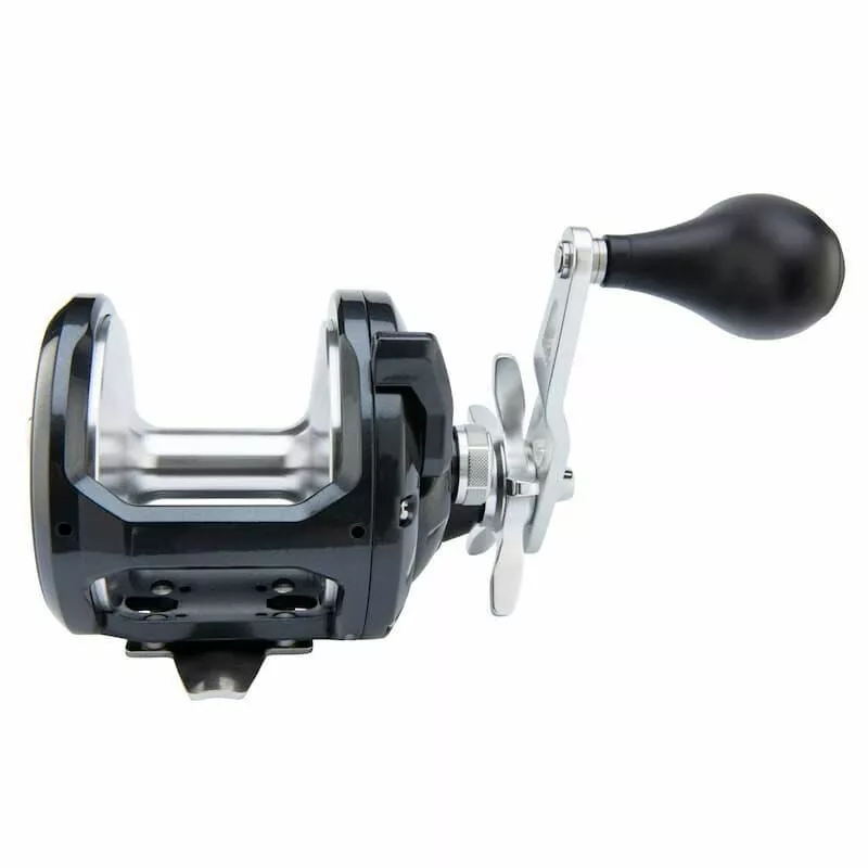 Shimano Torium A 16HG 3 Shimano Torium A 16HG - Afbeelding 3