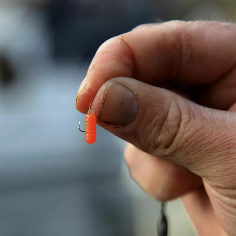 Cresta Spaghetti Worms 4 Cresta Spaghetti Worms - Afbeelding 4