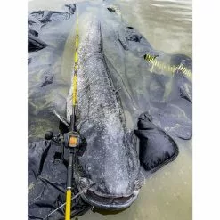 Black Cat Cast 301LH Reel -Aanbiedingen Slip voorop molens Winkel 4017421Black Cat Cast 301LH Reel 6